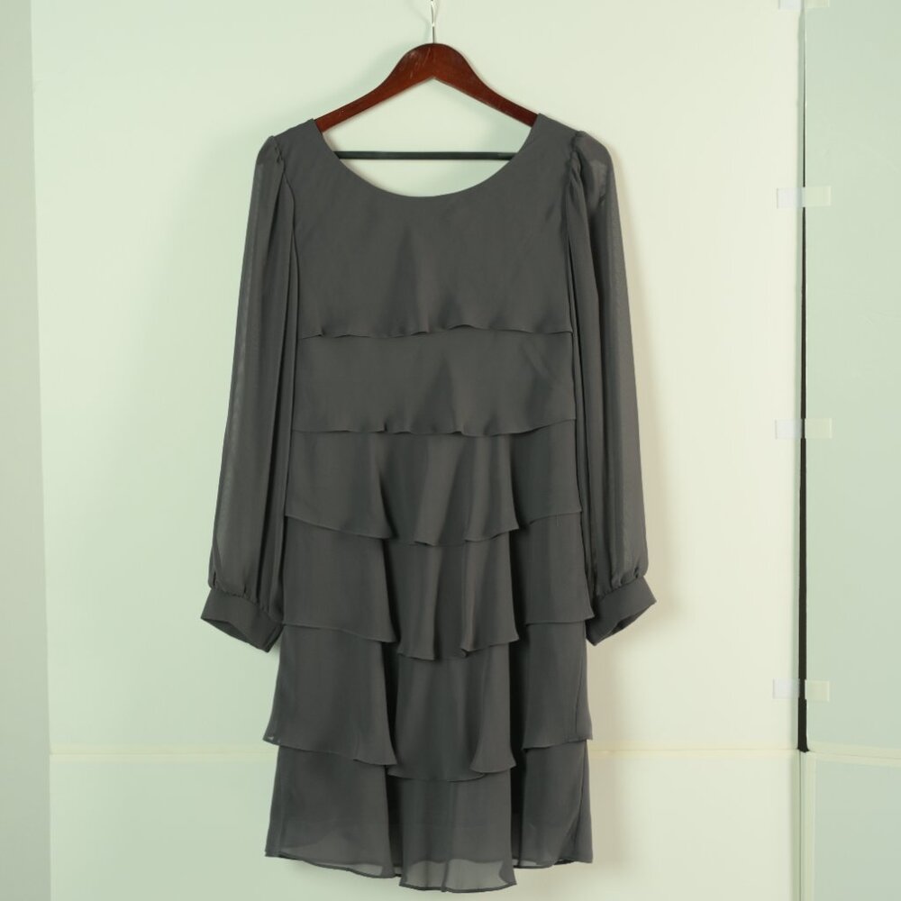 Knee Length Grey Ruffled Dress - Picture 4 of 5